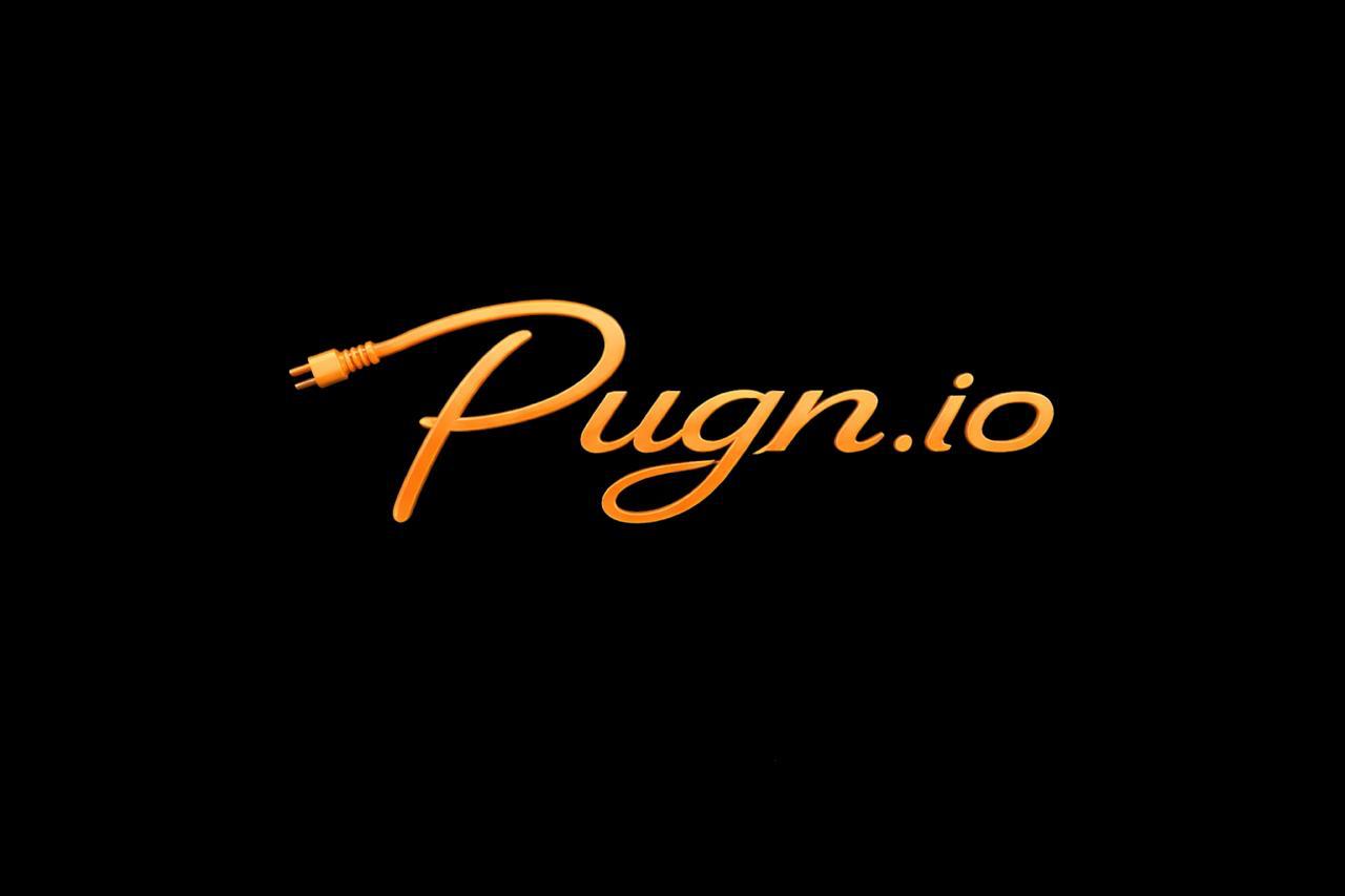 Pugn Logo